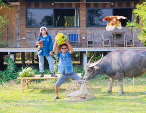 Hang Tueng farm stay Chiang Mai แฮงตึง ฟาร์มสเตย์ เชียงใหม่